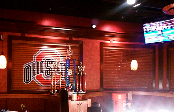 paninis-bar-and-grill,-brunswick-ohio,-wallpaper-detail,-decor-by-john-rivera-resto-2010