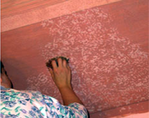 graining with a sponge