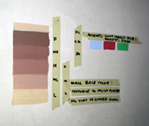 color palette for the background colors