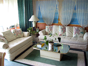 furnished living room